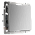WL09-SW-1G / Выключатель одноклавишный (cеребряный рифленый) фото