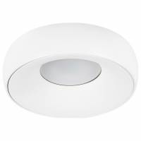 Накладной светильник Arte Lamp Heze A6665PL-1WH фото