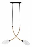 Подвесной светильник Indigo Fiore 13001/2P Black фото