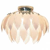 Накладной светильник Lussole Vercelli LSQ-1907-05 фото