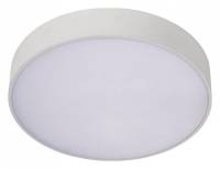 Накладной светильник Aployt Evon APL.0113.09.24 фото