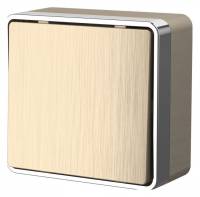 Выключатель одноклавишный Werkel Gallant (шампань рифленый) W5010010 фото