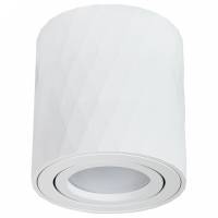 Накладной светильник Arte Lamp Fang 2 A5559PL-1WH фото