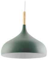 Подвесной светильник Moderli Eline V1296-1P фото