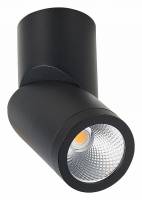 Светильник на штанге ST-Luce ST650 ST650.442.10 фото