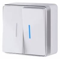 Выключатель двухклавишный с подсветкой Werkel Gallant (белая) W5020101 фото