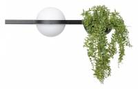 Бра Loft it Jardin 10121W/A фото