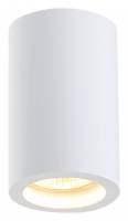 Накладной светильник SIMPLE STORY 2020 2020-1CLW фото