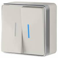 Выключатель двухклавишный с подсветкой Werkel Gallant 2 W5020103 фото