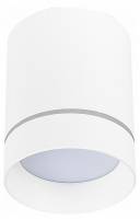 Накладной светильник ST-Luce ST115 ST115.542.12 фото