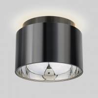 Накладной светильник Elektrostandard 1069 a053056 фото