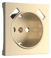 Накладка для розетки с заземлением и 2хUSB Werkel шампань W1179511 (шампань) фото