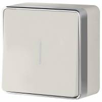 Выключатель одноклавишный с подсветкой Werkel Gallant 2 W5010103 фото