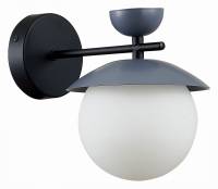 Бра EVOLUCE Genova SLE220201-01 фото