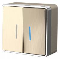 Выключатель двухклавишный с подсветкой Werkel Gallant (шампань рифленый) W5020110 Gallant (шампань рифленый) фото