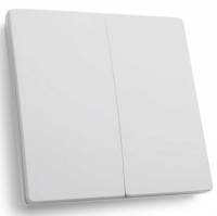 Выключатель беспроводной двухклавишный Feron Saffit TM82 41129 фото