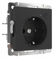 Розетка с заземлением и шторками, без рамки с Wi-Fi Werkel черный матовый W1171608 фото