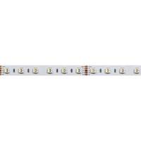 Лента светодиодная Arlight  019151(2) фото