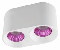 Накладной светильник Denkirs DK3020WPI DK3096-WH+PI фото