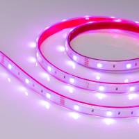 Лента светодиодная Arlight RTW герметичная 028711 фото