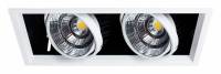 Встраиваемый светильник Arte Lamp Merga A8450PL-2WH фото