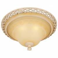 Накладной светильник Wertmark Adora WE342.03.027 фото