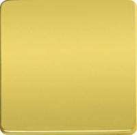 фото переключатель одноклавишный (с 2-х мест)  цвет: светлое золото