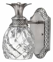 Светильник на штанге Hinkley Plant HK-PLANT-BATH-PL фото