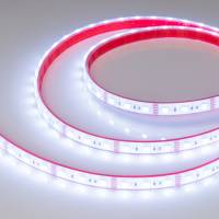 Лента светодиодная Arlight RTW герметичная 033790 фото