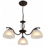 Подвесная люстра Rivoli Jackeline Б0054755 фото