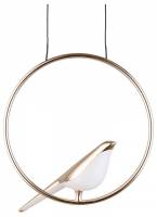 Подвесной светильник Aployt Astor APL.822.06.10 фото