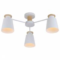 Потолочная люстра Rivoli Adna Б0053435 фото