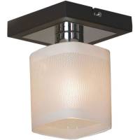 Светильник на штанге Lussole Costanzo LSL-9007-01 фото