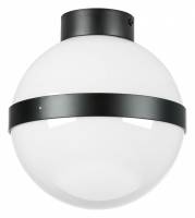Накладной светильник Lightstar Globo 812117 фото