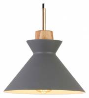 Подвесной светильник Escada Crater 1106/1S фото