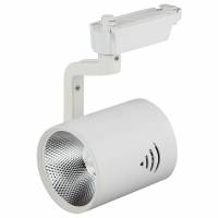 Светильник на штанге Эра TR1 TR1 - 30 WH фото