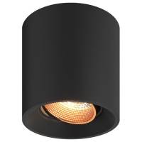 Накладной светильник Denkirs DK3020BВ DK3090-BBR фото