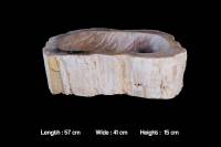 Раковины из окаменелого дерева 55-59 см