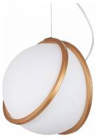Подвесной светильник ST-Luce Acerra SL1181.353.01 фото