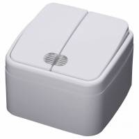 Выключатель двухклавишный с подсветкой Stekker Basic 39030 фото