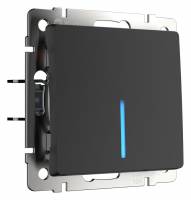 Выключатель проходной одноклавишный с подсветкой без рамки Werkel черный матовый W1112108 фото