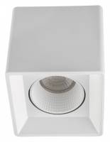 Накладной светильник Denkirs DK3020WW DK3080-WH фото