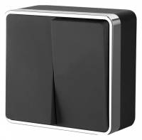 Выключатель двухклавишный Werkel Gallant (черный/хром) W5020035 фото