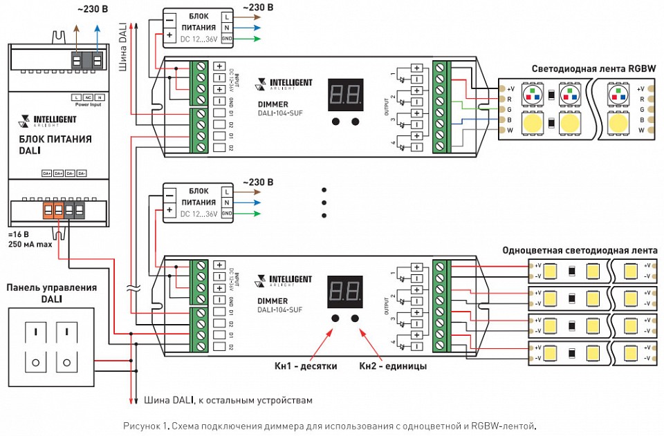 Блок управления светодиодов. Светодиодные ленты 24v схема подключения. Контроллер Dali арлайт. Контроллер дали схема подключения. Схема подключения светодиодной ленты с контролером.