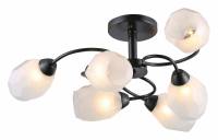 Люстра на штанге Rivoli Gloria Б0052695 фото