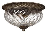 Накладной светильник Hinkley Plantation HK-PLANT-F-L-PZ фото