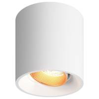 Накладной светильник Denkirs DK3020WW DK3090-WBR фото