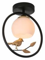 Накладной светильник Escada Song 1113/1P Black фото