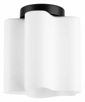 Накладной светильник Lightstar Nubi 802017 фото