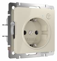 Розетка с заземлением и шторками, без рамки с Wi-Fi Werkel слоновая кость W1171603 фото